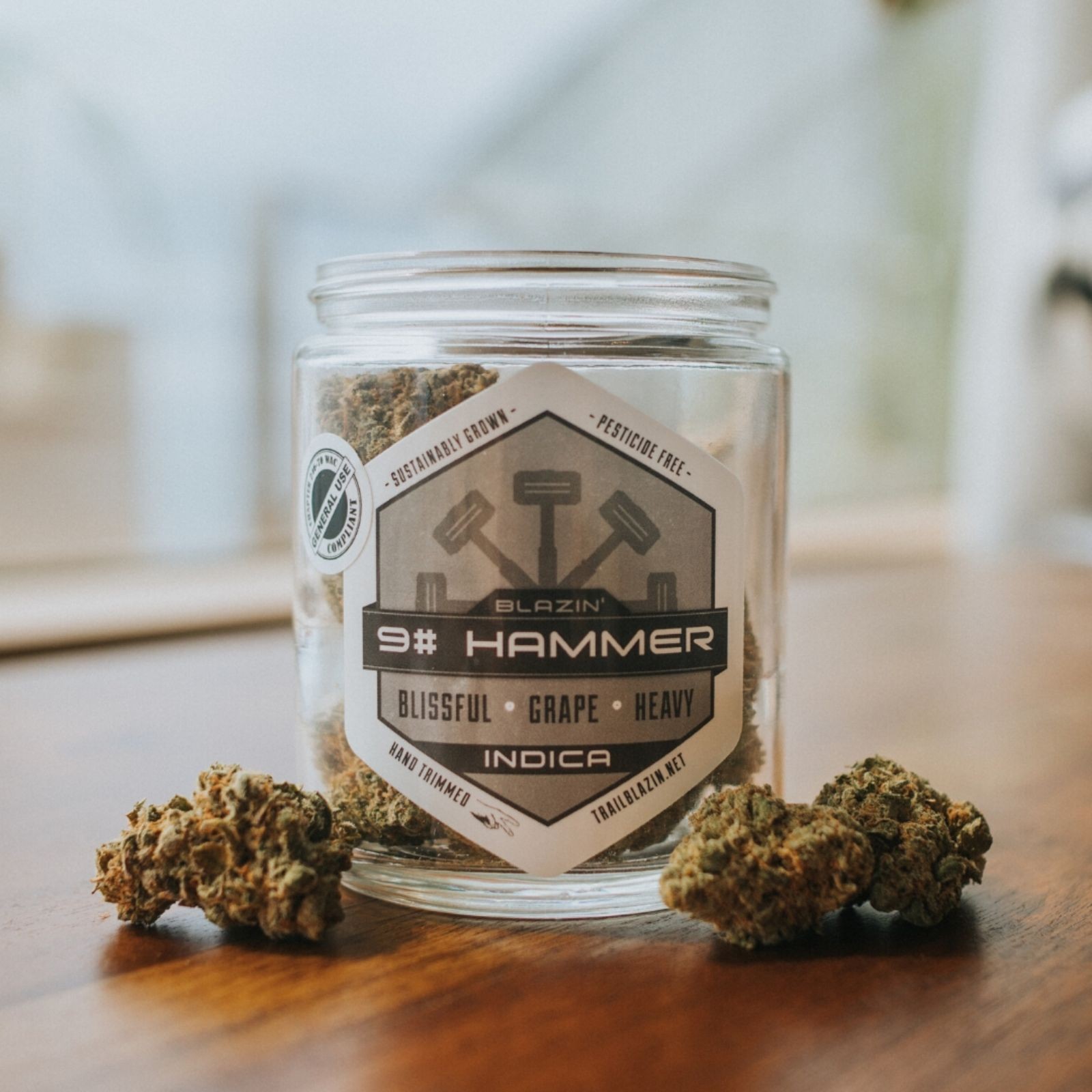 ~Trail Blazin' Flower 9 Pound Hammer